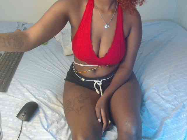 SolVixen