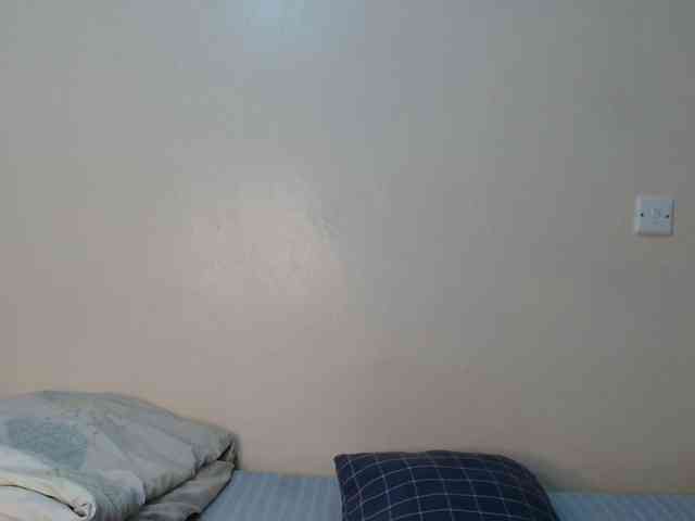 SolVixen webcam