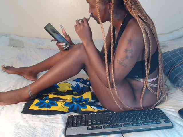 SolVixen webcam