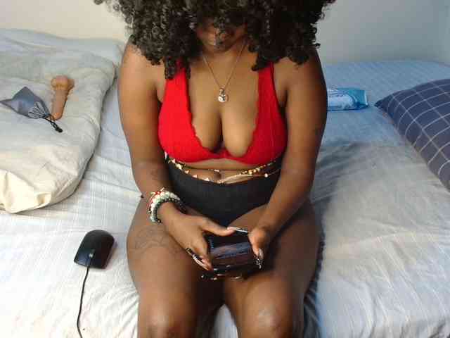 SolVixen SolVixen