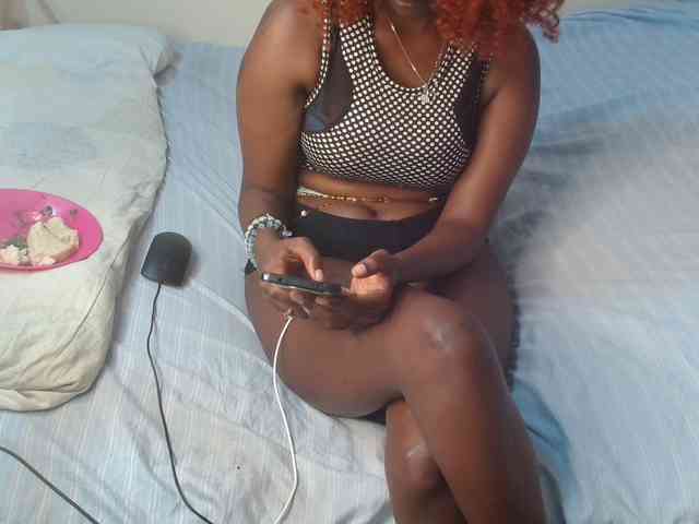 SolVixen webcam