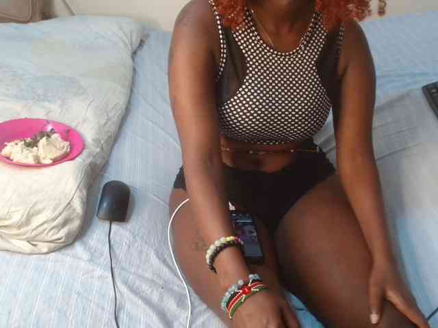 SolVixen webcam