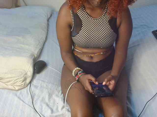 SolVixen webcam