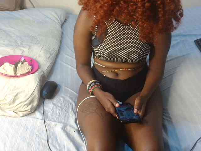 SolVixen webcam