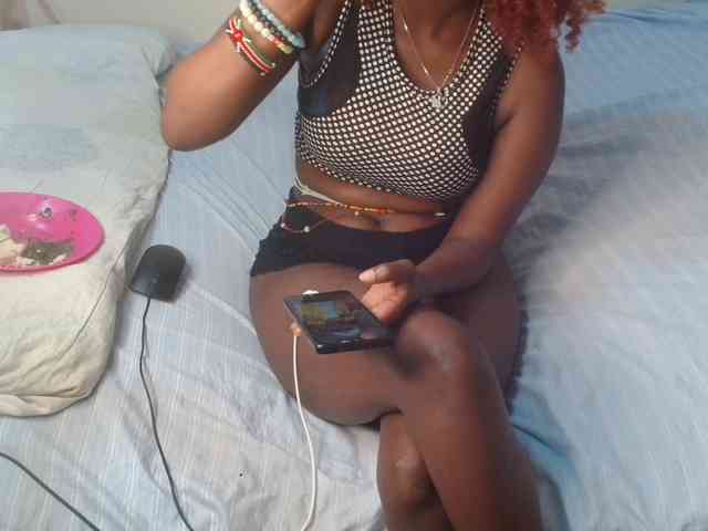 SolVixen webcam