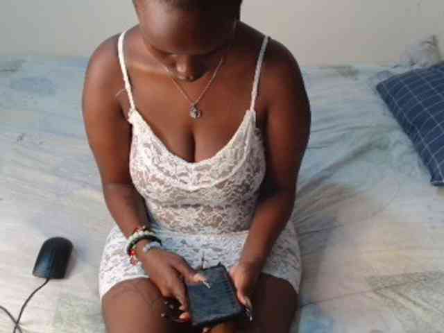 SolVixen webcam