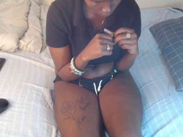 SolVixen webcam