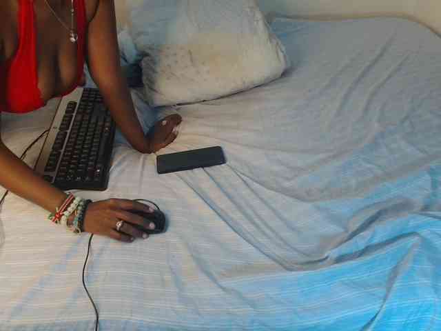 SolVixen webcam