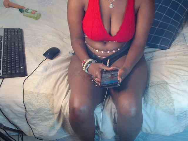 SolVixen webcam