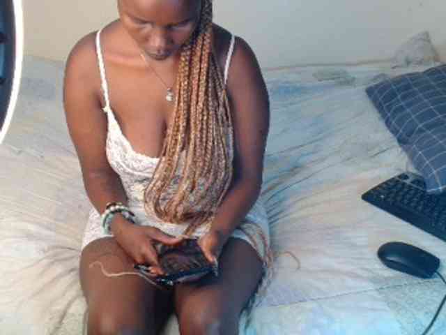 SolVixen webcam