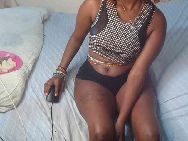 SolVixen webcam