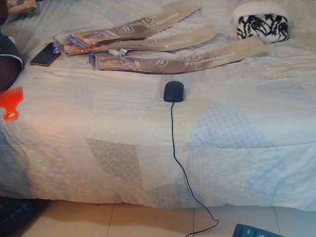 SolVixen webcam
