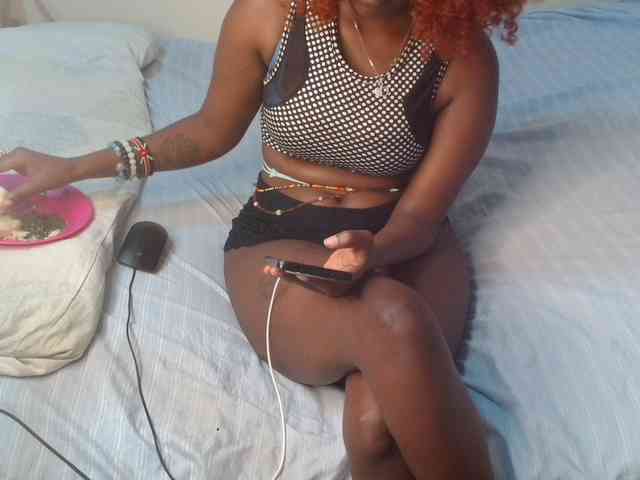 SolVixen webcam