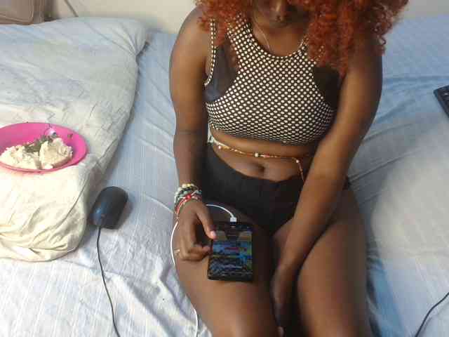 SolVixen webcam