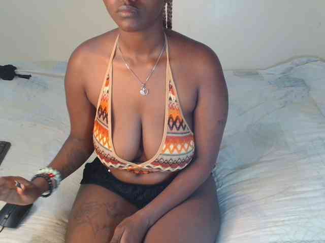 Model: SolVixen