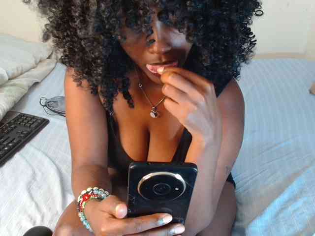 SolVixen webcam