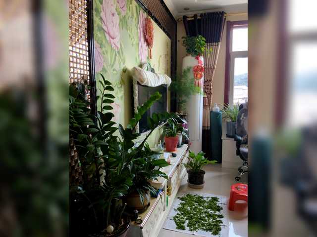 Profile and Statistics for cf0022 on BongaCams