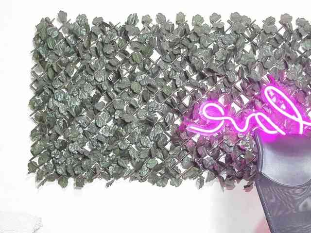 SofiaFranco