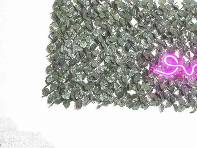 SofiaFranco