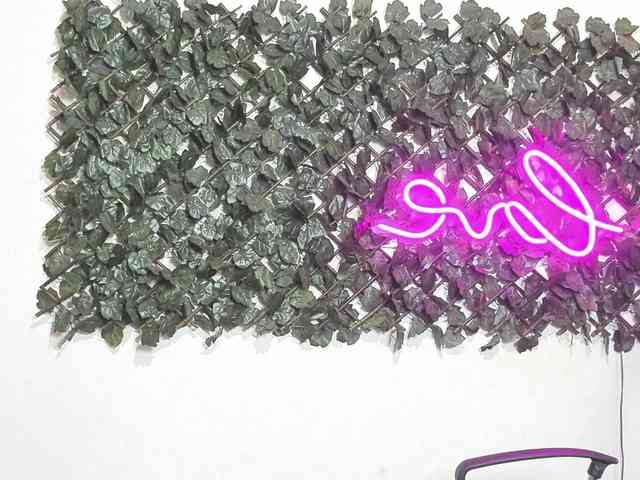 SofiaFranco webcam