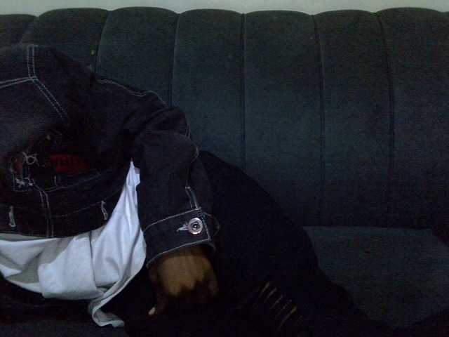 pookie-bear live cam preview