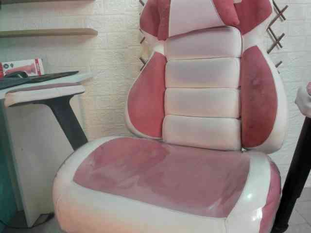 Emperatriz-II webcam