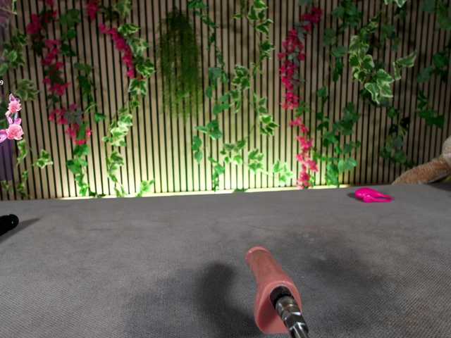 nicehotjob live cam on BongaCams