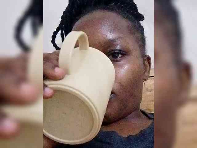 Zayra-2 webcam