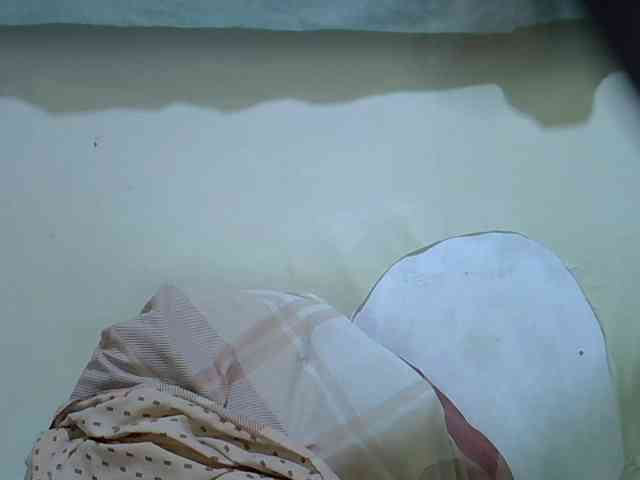 Honey-drop webcam