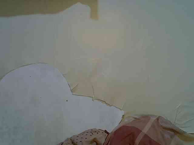 Honey-drop webcam