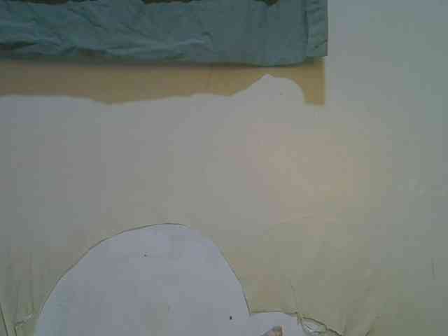 Honey-drop webcam