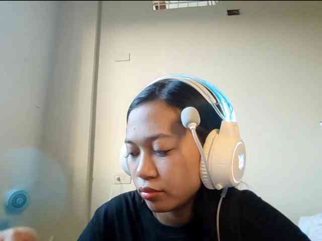 MavisFrisbey webcam