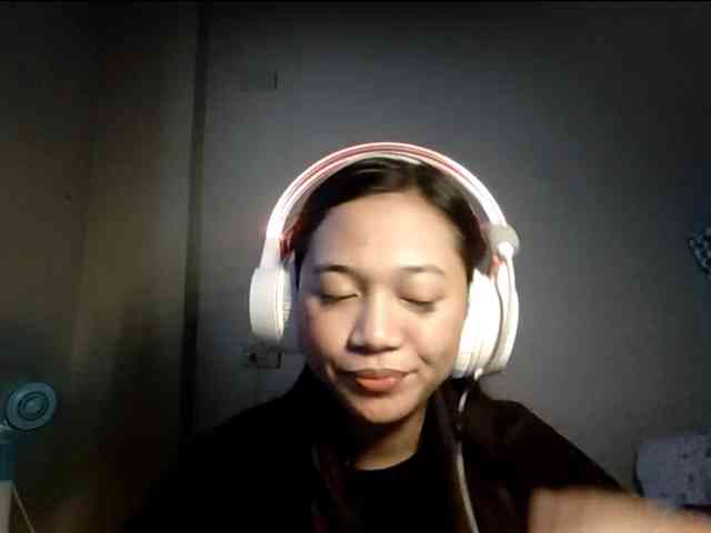 MavisFrisbey webcam