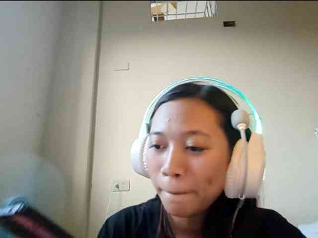 MavisFrisbey webcam