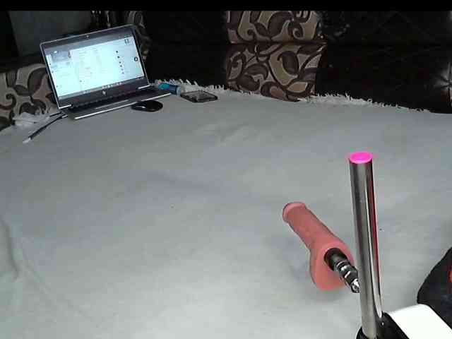 VikkiMouse18 webcam