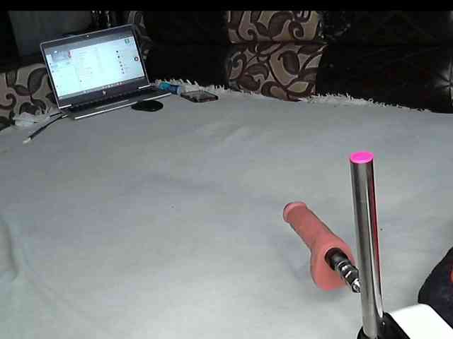 VikkiMouse18 webcam