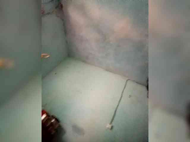 Elidielinah webcam