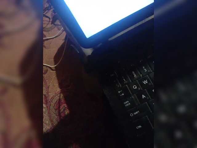 gogogocome