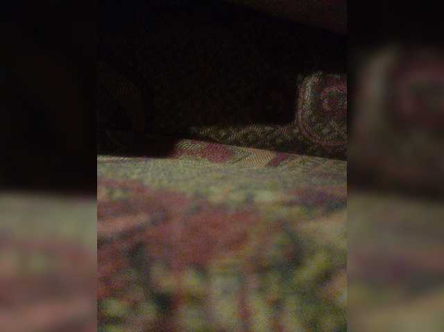 gogogocome