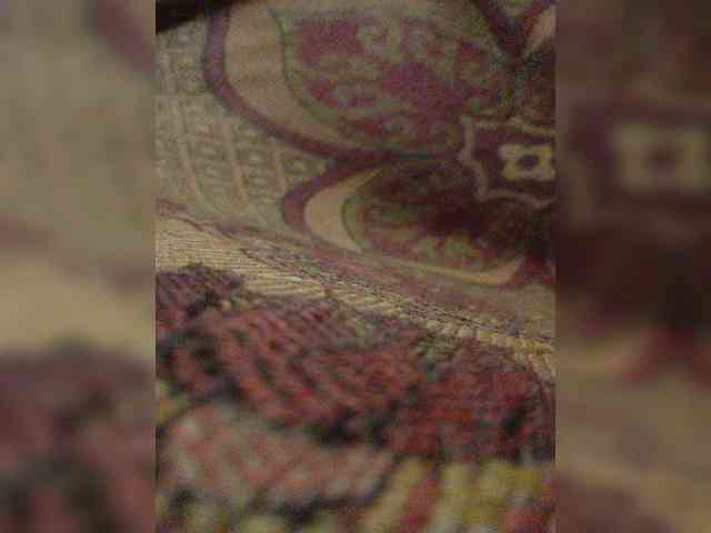 gogogocome