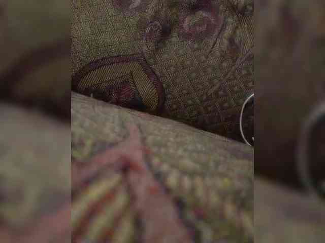 gogogocome