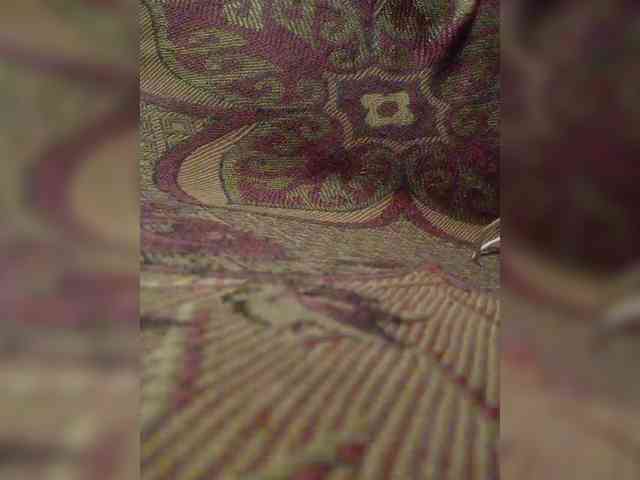 gogogocome