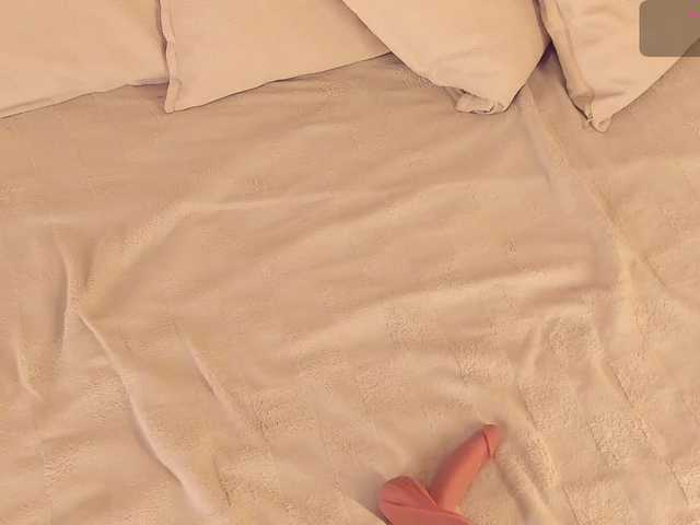 dionneventuri live cam on BongaCams