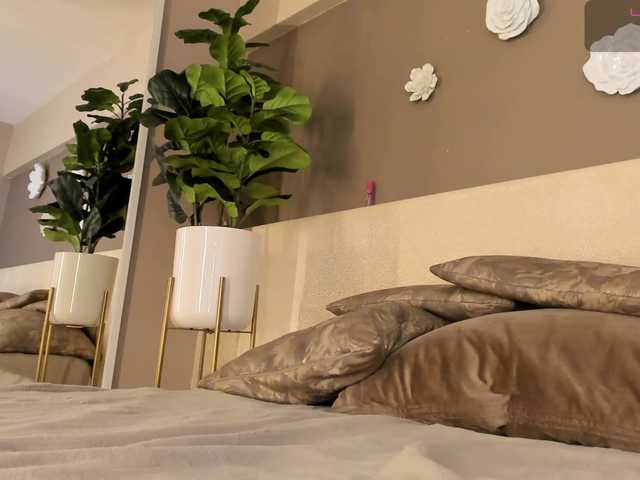 dionneventuri live cam on BongaCams