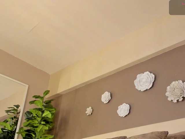 dionneventuri live cam on BongaCams