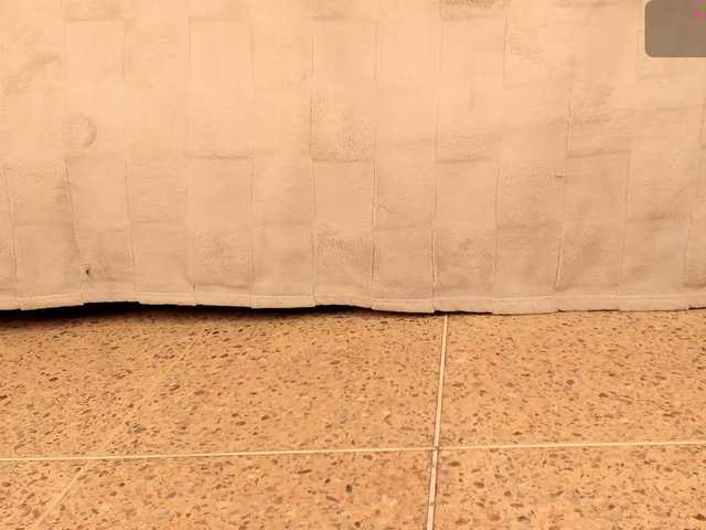 dionneventuri live webcam show