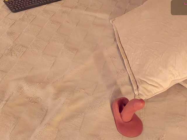 dionneventuri live cam on BongaCams
