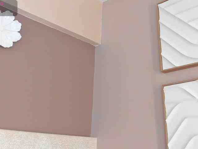dionneventuri Live Webcam on BongaCams