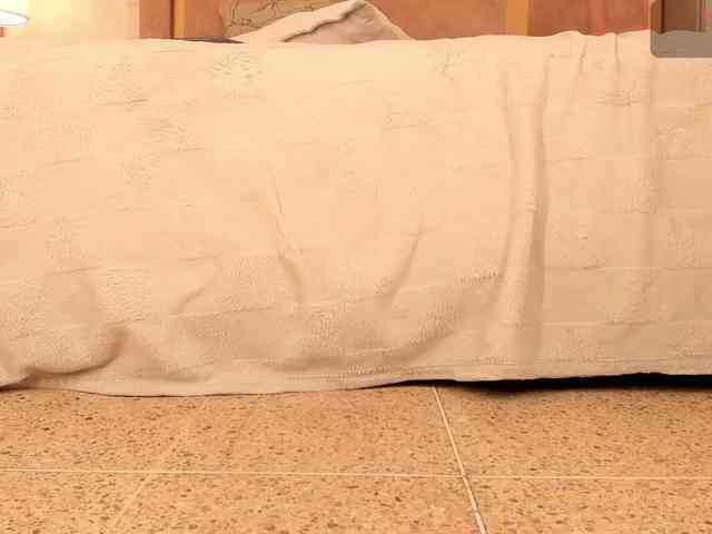 dionneventuri webcam