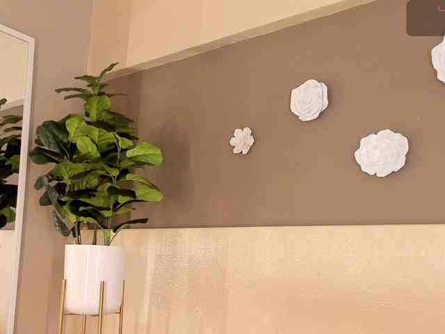dionneventuri